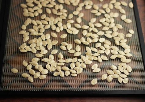 how-to-make-pumpkin-seeds-unshelled How To Dehydrate Pumpkin In The Oven, Dehydrate Pumpkin Seeds, Pumpkin Seeds Dehydrator, Dehydrating Pumpkin Seeds, Dehydrated Pumpkin Seeds, Drying Pumpkin Seeds, Dehydrating Pumpkin, Make Pumpkin Seeds, Dehydrated Veggies