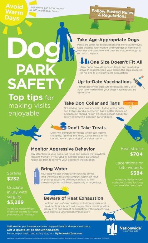 Dog Infographic, Dog Training Classes, Dog Essentials, Dog Health Care, Dog Facts, Dog Safety, Dog Hacks, Dog Care Tips, Walk In The Park