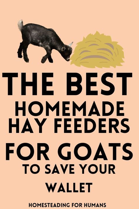 These homemade hay feeders for goats are amazing and so effecinet. Easy to build these hay feeders will save your feed bill! Hay Trough For Goats, Hay Holder For Goats, Diy Hay Feeder For Goats, Goat Feeders Ideas Hay, Goat Enrichment Ideas, Arapawa Goat, Diy Goat Hay Feeder, Feeders For Goats, Hay Feeder For Goats