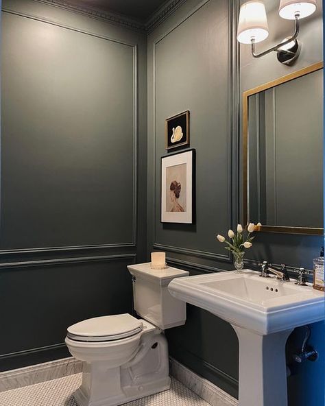 Knoxville Gray, Green Powder Room, Moody Powder Room, Powder Room Paint, Bathroom Mirror Design, Nerf Darts, Dentil Moulding, Powder Room Small, Powder Room Design