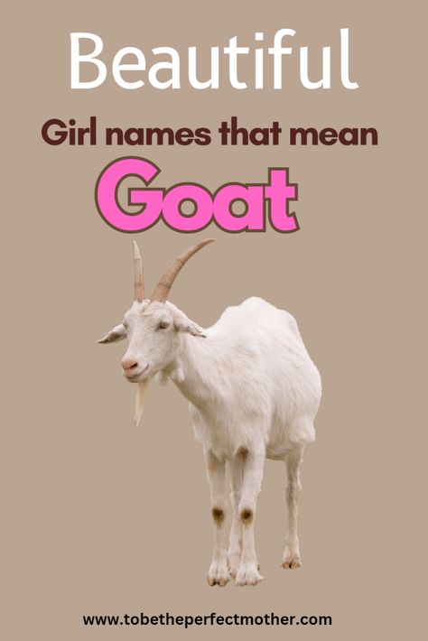 Girl names that mean goat Goat Names, Strong Girl Names, List Of Girls Names, Indian Names, Feminine Names, Life Recently, Strong Names