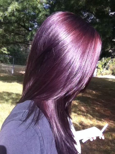 my hair! dark violet auburn Violet Hair Colors, Violet Hair, Dark Violet, Hair Dark, Purple Hair, Hair Colors, Auburn, My Hair, The Back