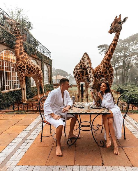 #animals #giraffe #coupleromantic Giraffe Hotel, Giraffe Manor, Africa Honeymoon, Dream Dates, The Gentlemen, Kenya Safari, Adventure Travel Explore, Africa Do Sul, Safari Lodge