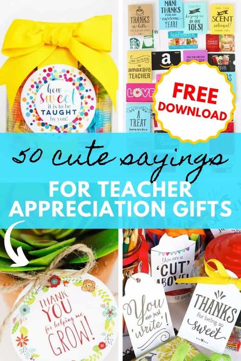 Wrap up fun teacher gifts with these cute sayings for teachers! Just pick the perfect teacher appreciation quote from this long list, pair it with a small gift, and you’ll have the teacher appreciating your thoughtfulness. #teacherappreciation #teachergifts #teacherappreciationweek Teachers Appreciation Gifts, Teacher Appreciation Notes, Small Teacher Gifts, Teacher Appreciation Gift Card, Teacher Appreciation Quotes, Appreciation Gifts Diy, Cute Sayings, Teacher Appreciation Gifts Diy, Teachers Appreciation