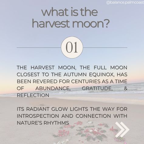 🌕✨ Under the radiant glow of the Harvest Moon, we gather at Old Salt Park Beach for an evening of gratitude, reflection, and connection. Join us September 15th as we flow with the rhythm of the ocean and the energy of the moon, celebrating the season of abundance, under the guidance of the radiant Rosa Grace. 🍂🌊 This magical practice is about honoring the cycle of harvest and setting intentions for the journey ahead. Bring your mat, your heart, and let’s embrace the beauty of the Harvest Mo... Gratitude Reflection, Setting Intentions, Harvest Moon, The Harvest, Life Balance, Full Moon, The Journey, The Ocean, The Moon