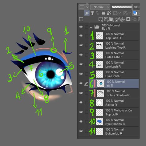 Vtuber's Eye (Divided into layers) - CLIP STUDIO ASSETS Vtuber Eye Layers, Vtuber Separation Guide, Vtuber Guide, Vtuber Model Base Oc, Vtuber Layers, Vtuber Eyes Reference, Vtuber Hair Ideas, Vtuber Tutorial, Bunny Slug