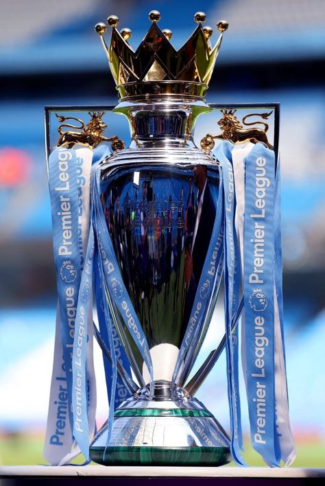 Premier League Trophy, Fifa Card, Merseyside Derby, Soccer Trophy, Champions League Trophy, Football Trophy, Trophy Collection, Football Champions, Sports Trophies