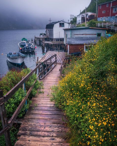 Francois is located on the south coast of Newfoundland. The only way there is a 4 hour boat ride that leads to the community inside a Fjord. Unfortunately I was not able to climb to the top of the Fjord the day I was there. The fog was too thick. I did spend some time shooting some scenes in the community. Here is one of my favourites. I hope to get back there someday to see the view from the Fjord. . . . . #newfoundland #newfoundlandandlabrador #explorenl #explorecanada #explorenewfoundlan... Canada Newfoundland, Labrador Canada, New Years Look, Newfoundland Canada, Explore Canada, Boat Ride, Newfoundland And Labrador, Newfoundland, Summer Day