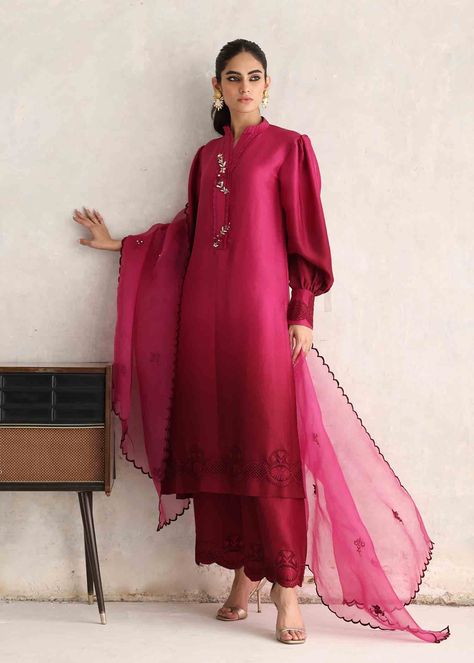 Raw Silk Dress, Organza Suits, Kurta Design, Dress Design Patterns, Designer Dresses Casual, Designer Party Wear Dresses, Party Wear Indian Dresses, Fancy Dress Design, Dress Indian Style