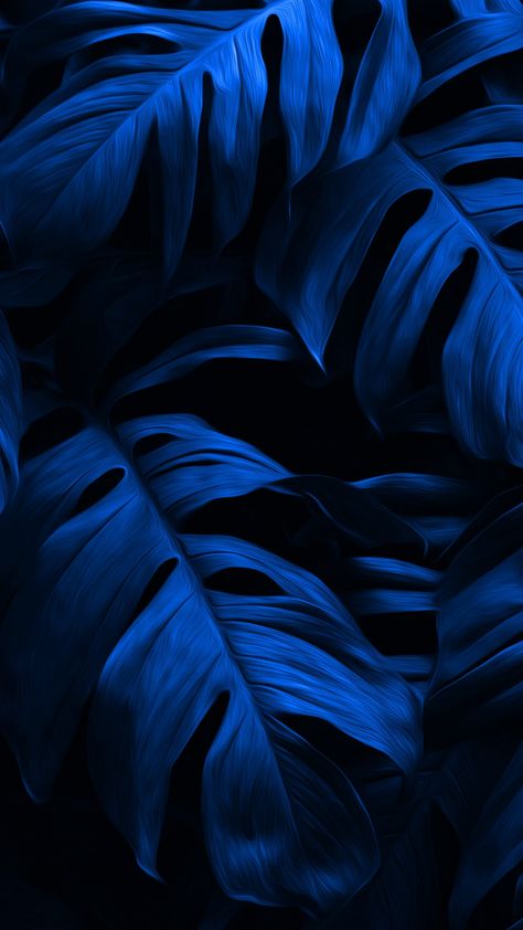 #dark#blue#leaves#wallpaper Art For Dark Blue Wall, Dark Blue And Black Background, Dark Blue And Black Aesthetic Wallpaper, Dark Blue Minimalist Wallpaper, Blue Aesthetic Masculine, Blue Leaves Aesthetic, Black And Blue Wallpaper Backgrounds, Dark Blue Black Wallpaper, Navy Blue Background Wallpapers