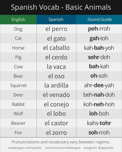 Animals In Spanish, Beginner Spanish Lessons, Spanish Learning Activities, Spanish Words For Beginners, Spanish Practice, Basic Spanish Words, Spanish Pronunciation, Learning Spanish For Kids, Spanish Basics