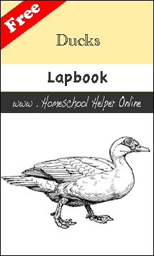 free ducks lapbook | Homeschool Helper Online Plant Lap Book, Science Lapbooks, Photosynthesis Activities, Botany Study, Science Unit Studies, Human Body Projects, Garden Unit, Plants Unit, Lap Book