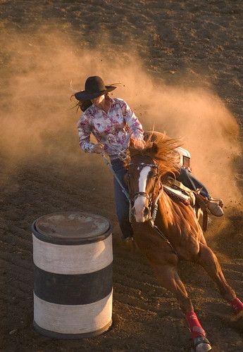 Barrel Racing Aesthetic, Barrel Racing Photos, Barrel Racing Photography, Barrel Horses, Foto Cowgirl, Barrel Racing Saddles, Rodeo Girls, Horse Show Clothes, Barrel Racing Horses