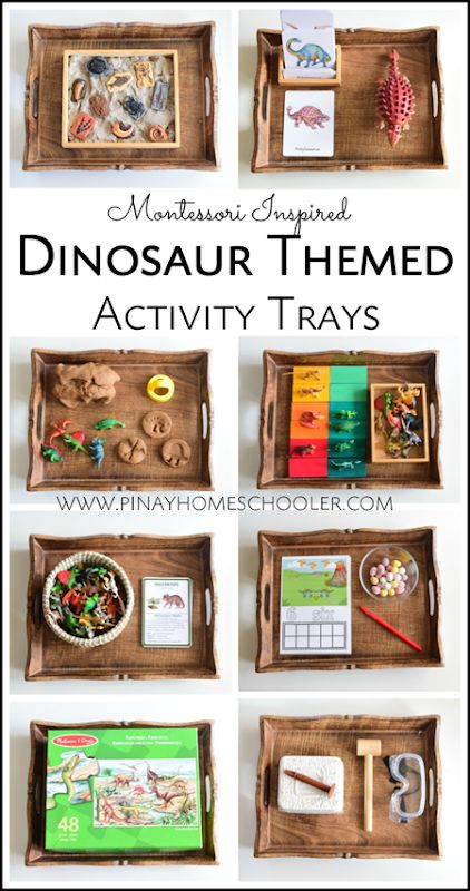 Montessori Inspired Dinosaur Activity Trays for Preschoolers Dinosaur Montessori Bedroom, Dinosaur Practical Life, Dinosaur Set Up Preschool, Montessori Science Activities Preschool, Dinosaur Provocation Preschool, Dinosaur Loose Parts Play, Dinosaur Study Preschool, Dinosaur Educational Activities, Reggio Dinosaur Provocations