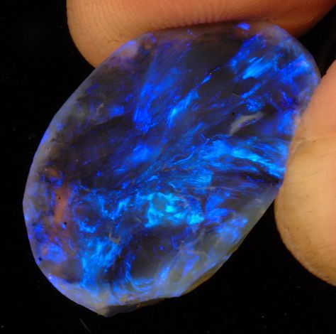 Hand-held Lightning Ridge Black Opal | Very expensive. That … | Flickr - Photo Sharing! Lightning Ridge Black Opal, Aurora Australis, Lightning Ridge Opal, Pretty Rocks, Beautiful Rocks, Mineral Collection, Lightning Ridge, Mineral Stone, Minerals And Gemstones