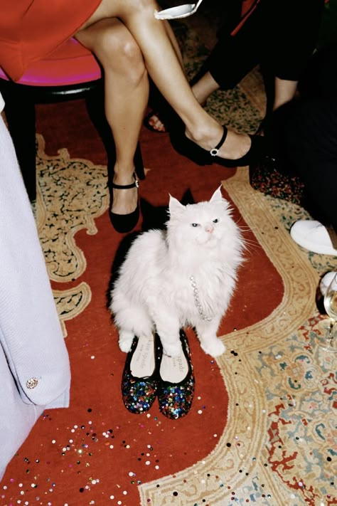 Holiday Campaign, Photographie Portrait Inspiration, Monica Bellucci, Photography Inspo, White Cat, Holiday Collection, Sabrina Carpenter, Shoot Ideas, Kate Spade New York