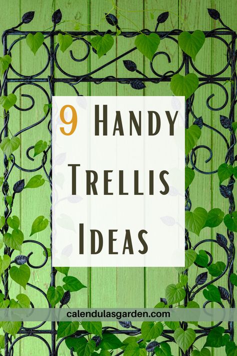 One way to enhance the look of your garden is by installing trellises for your plants. Trellises are not only functional, but they can also add some visual interest to your outdoor space. If you’re looking for a few creative trellis ideas for your garden, you’re in the right place. We’ve rounded up some of the best trellis ideas that will level up the look of your garden. Using Trellises In The Garden, Trellis Ideas Front Of House, Diy Clematis Trellis Ideas, Honeysuckle Trellis Ideas, Unique Trellis Ideas, Diy Garden Arch Trellis, Wall Trellis Ideas, Trellis Ideas Diy Climbing Vines, Clematis Trellis Ideas