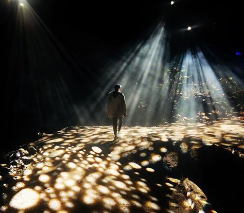 Human Centric Lighting, Dance Lighting Design, Lights In Forest, Light In Forest, Fantasy Lighting, Light Through Trees, Nature Lighting, Forest Lighting, Forest Texture