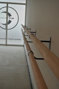 Barre Bar, Workout Room Design, Pole Dancing Moves, Bar Railing, Ballet Room, Dance Nation, Dance Studio Decor, Ballet Bar, Dancing Moves