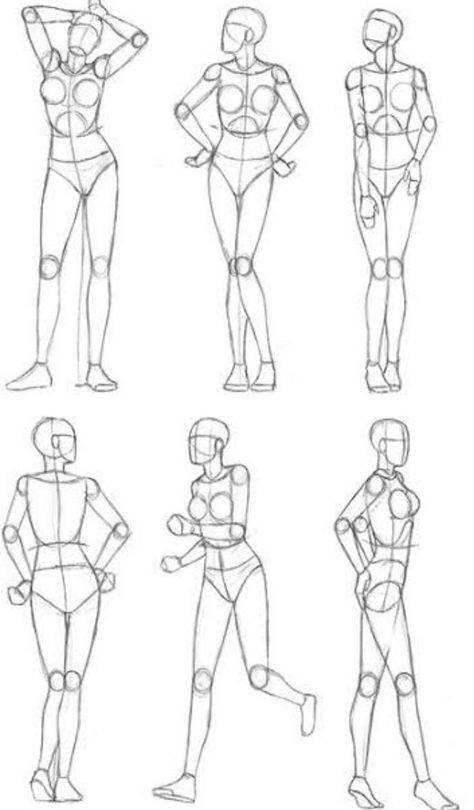 Human Figure Sketches Anatomy, Women Anatomy, Body Proportion Drawing, Drawing Body Proportions, Drawing Basics, Gesture Drawing Poses, Human Figure Sketches, Body Shape Drawing, Drawing Ideas List