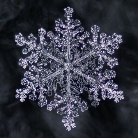 Snowflake Photography, Winter Bracelet, Snow Flake Tattoo, Snowflake Images, Snowflakes Real, Snowflake Photos, Snow Crystal, Snow Flakes, Ice Crystals