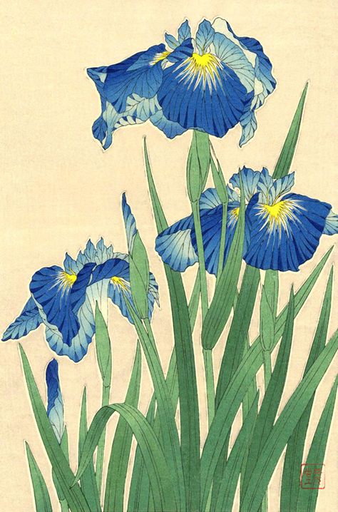 image 0 Art Chinois, Ohara Koson, Illustration Botanique, Botanical Art Prints, Japanese Flowers, Japanese Poster, Art Japonais, Japanese Woodblock Printing, Swallows