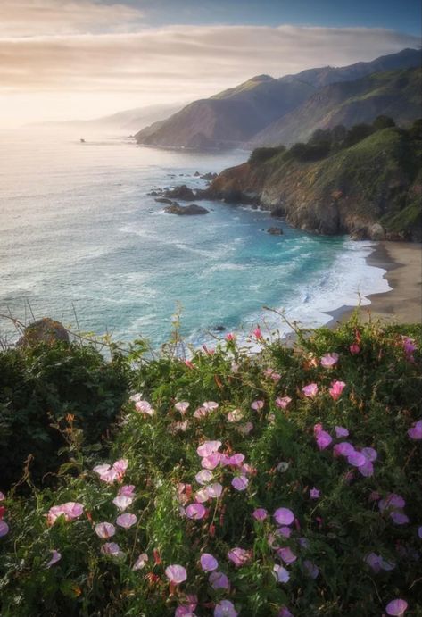 Lukisan Lanskap, Poison Oak, California Wall Art, Outdoor Photographer, Big Sur California, Ocean Landscape, Pretty Landscapes, Laundry Hacks, Ocean Painting