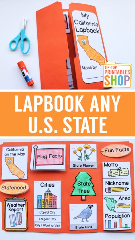 State Project 3rd Grade, Regions Of The United States Projects, 2nd Grade Lapbooks, First Grade Lapbooks, Homeschool Country Unit Study, My State Project, 50 States Project, State Brochure Project, Us Geography Activities