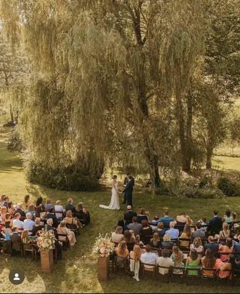 Willow Tree House, Small Wedding Big Reception, Los Willows Wedding Estate, Wedding Under Willow Tree, Cute Small Wedding Ideas, Willow Tree Wedding Ceremony, Wedding Willow Tree, Weeping Willow Wedding, Very Small Wedding Ideas