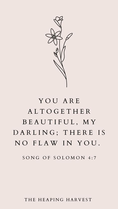 Bible Verse About, There Is No Flaw In You, Beautiful Prayers For Women, Bible Verse For Inspiration, Women Verses Scriptures, You Are Beautiful Bible Verse, Inspiring Quotes For Women Bible, God Says You Are Beautiful, Song Of Solomon 3:4 Wallpaper