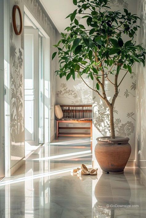 Having that ficus silk tree in the hallway is like bringing a slice of nature inside—no green thumb required! It’s got that lifelike look that adds this cozy vibe to the space, making everyone feel right at home. Dominican Decor, Big Plants Indoor Living Rooms, Hallway Plants, Ficus Tree Indoor, Tree In The House, Inside Tree, Ficus Audrey, Large Indoor Plants, Ficus Tree