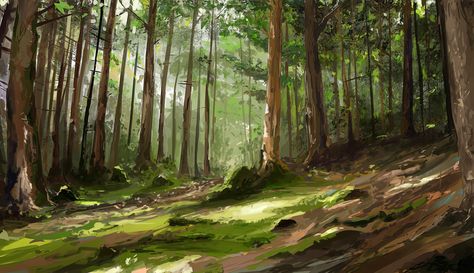 Environment Light Study Anime Woods Background, Forest Scene Illustration, Environment Concept Art Forest, Forest Environment Art, Pine Forest Illustration, Forest Environment Concept Art, How To Draw Forest, Woods Drawing Forests, Character In Forest