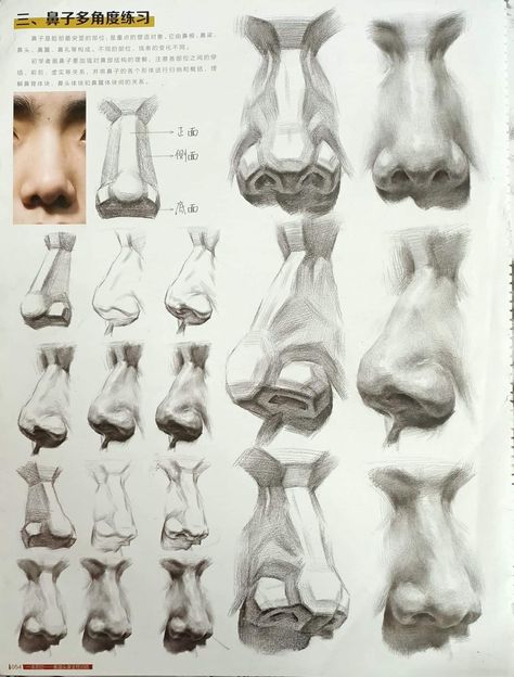 Constructive Drawing, Tonal Shading, Drawing Beginners, Pencil For Drawing, Pencils For Drawing, Best Mechanical Pencil, Head Anatomy, Face Anatomy, Nose Drawing