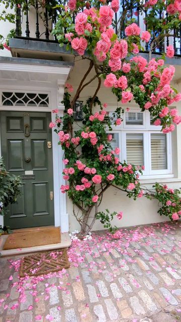 Beautiful Gardens Magical, Small Front Garden Ideas, Small Front Gardens, Climbing Flowers, Beautiful Home Gardens, Flower House, Rose Plant, Blossom Garden, Roses Garden