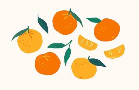 Fruit Clipart, Fruit Orange, Plant Vector, Fruit Illustration, Dog Vector, Citrus Fruits, Orange Art, Clipart Design, Seamless Pattern Vector