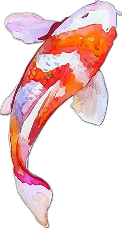 Watercolor Koi Fish, Koi Painting, Koi Fish Drawing, Japanese Koi Fish, Koi Watercolor, Ikan Koi, Koi Art, Japanese Watercolor, Carpe Koi