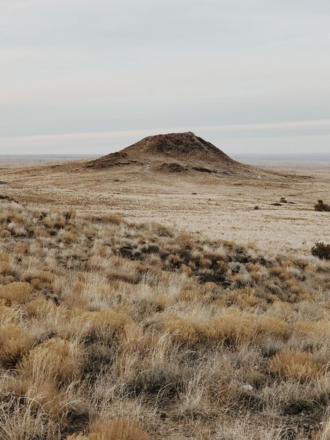 New Mexico Mountains, New Mexico Aesthetic, Dessert Landscaping, New Mexico Photography, Colorado Desert, New Mexico Desert, New Mexico Landscape, Mexico Desert, Aesthetic Nurse