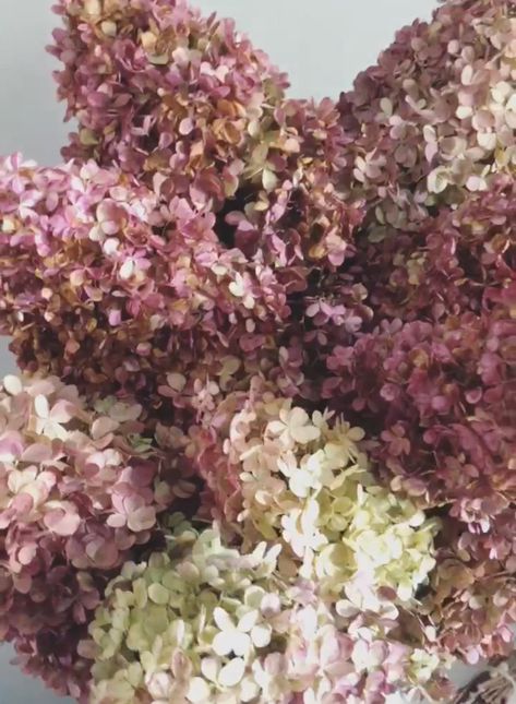 Dried Hydrangeas Dried Hydrangea Garland, Dried Hydrangeas Wedding, Mauve Hydrangea, Dry Hydrangeas, Colored Hydrangeas, Antique Hydrangea, Rustic Homestead, Vintage Hydrangea, Strawberry Hydrangea