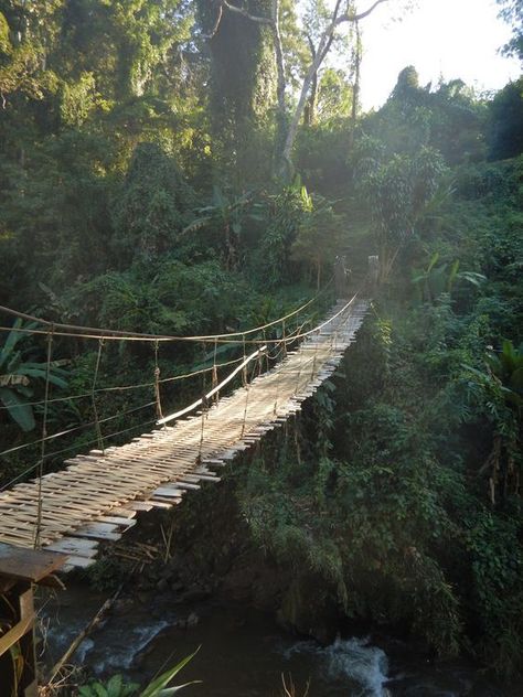 Indian Jungle Aesthetic, Mexico Jungle Aesthetic, Jungle Adventure Aesthetic, South American Jungle, Jungle Asethic, Jungle Explorer Aesthetic, Jungle Castle, Jungle Architecture, Jungle Mountains