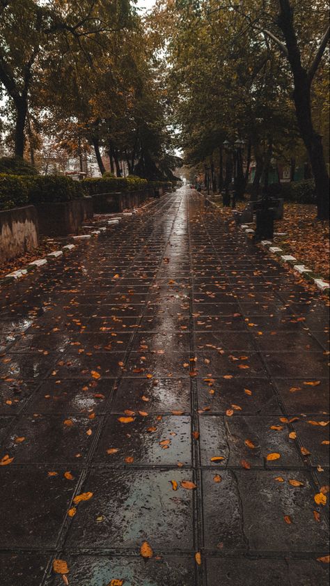 Rasht Iran📌 Rasht Iran, Iran Nature, Rainy Mood, Iran Pictures, 4k Pictures, Pictures Of Nature, Cool Pictures Of Nature, Thought Quotes, Deep Thought