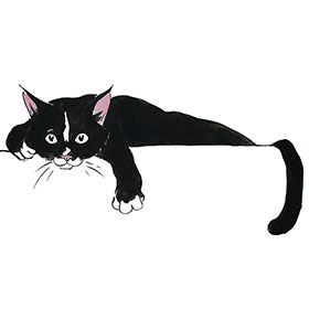 Cat And Bird Illustration, Tuxedo Cat Tattoo Designs, Tuxedo Cat Illustration, Cat Stretching Tattoo, Black And White Cat Cartoon, Tuxedo Cat Drawing, Black And White Cat Drawing, Tuxedo Cat Tattoo, Black And White Cat Art