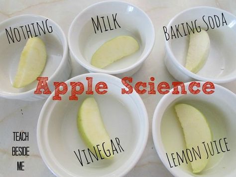 apple science experiment Middle School Science Fair Projects, Apple Science Experiments, Easy Science Fair Projects, Apple Science, Vetenskapliga Experiment, Science Fair Experiments, Science Experience, 4th Grade Science, Kid Experiments