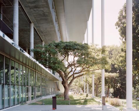 https://www.dezeen.com/2019/03/01/university-of-singapore-sde4-building-serie-architects-multiply-architects/ Zero Energy Building, Bauhaus Building, National University Of Singapore, Environment Projects, Georgian Terrace, Zero Energy, Tropical Architecture, Photovoltaic Panels, Architecture Magazines