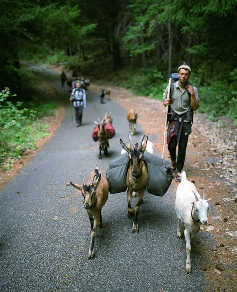 Adrain Chesser, “Trek,” Marble Mountain Wilderness | www.eklectica.in Living Photography, Craters Of The Moon, Lost River, Hunter Gatherer, Living Off The Land, Photo Series, Off Grid Living, American West, Documentary Photography