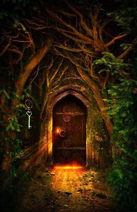 Door full of light in the enchanted forest... Shaking Hands, Secret Door, A Fairy Tale, Old Door, Fairy Land, Magical Places, Enchanted Forest, In The Forest, The Doors