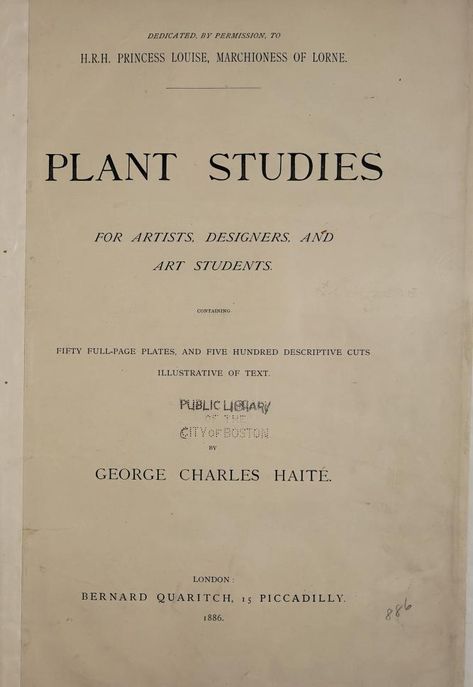 Plant studies for artists, designers, and art students : Haite, George Charles, 1855-1924 : Free Download, Borrow, and Streaming : Internet Archive Public Domain Books, Old Libraries, Plant Study, Drawing Tutorials For Beginners, Archive Books, Illustration Botanique, Botanical Illustration Vintage, Art Students, Boston Public Library