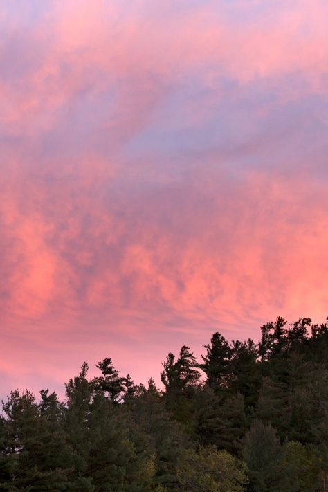 Pink And Blue Sky, Pretty Skys, Sunday Picnic, App Aesthetic, Istanbul City, Pink Forest, Easy Camping, Green Sky, Forest Trees