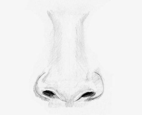 How to Draw a Nose: Step By Step Guide For Beginners - Hobby Lesson Draw Realistic, Nose Drawing, Lips Drawing, Drawing Lessons, Fantastic Art, Step By Step Drawing, A Drawing, Easy Paintings, Drawing Techniques