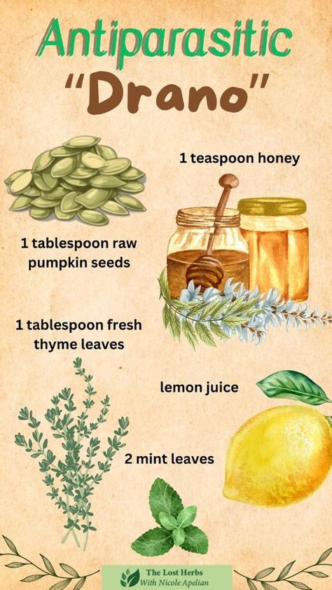 Juice For Parasites, Herbs To Get Rid Of Parasites, Natural Remedies For Parasites, Juicing For Parasites, Natural Antiparasite, How To Get Rid Of Diaherra Fast, Foods To Get Rid Of Parasites, Diaherra Home Remedy, Parasite Cleanse Herbs