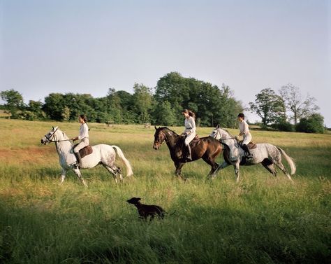 Kate Carter, Kate Denson, English Countryside Home, Miranda Brooks, Fox Hunter, Hunt Club, Photographie Inspo, Countryside House, Garden Pictures